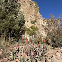 Boyce Thompson Arboretum - Views