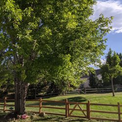 Boulder County Fencing - We absolutely love our new fence!