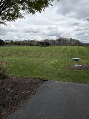 Alberto Landscape & Construction