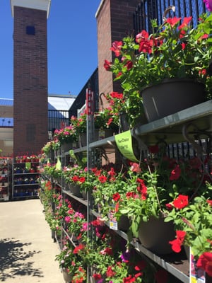 Lowe's Home Improvement by null