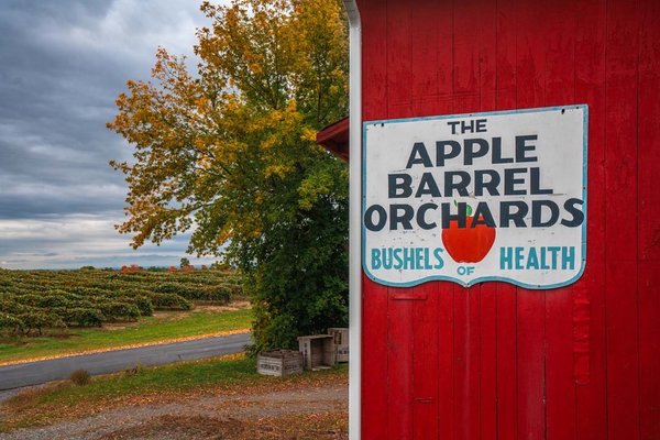 Apple Barrel Orchards by null