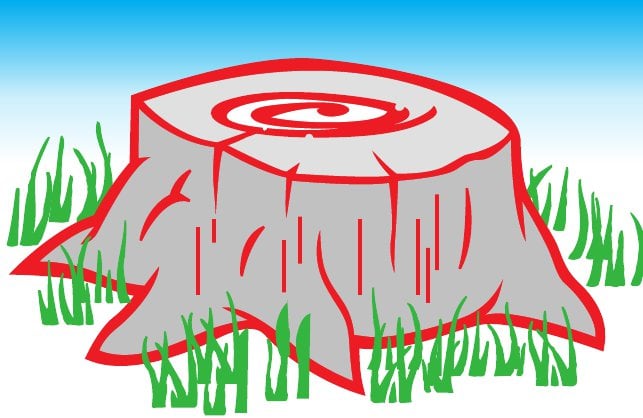 Chris's Affordable Tree Service - tree service in Rochester, NY