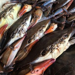 Soft Shell Crabs Soft Shell Crabs