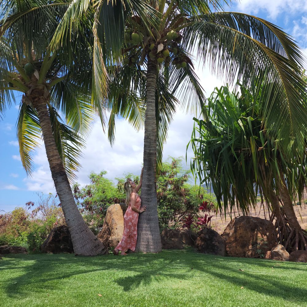 Punakea Palms - Tours Near Me - Lahaina, Hawaii Punakea Palms - Tours Near Me - Lahaina, Hawaii