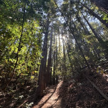 Villa Montalvo - Hiking Near Me - Saratoga, California Villa Montalvo - Hiking Near Me - Saratoga, California