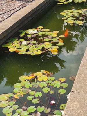 Paine Art Center & Gardens by null