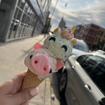 Eli's Ark - Gelato Near Me - Chicago, Illinois