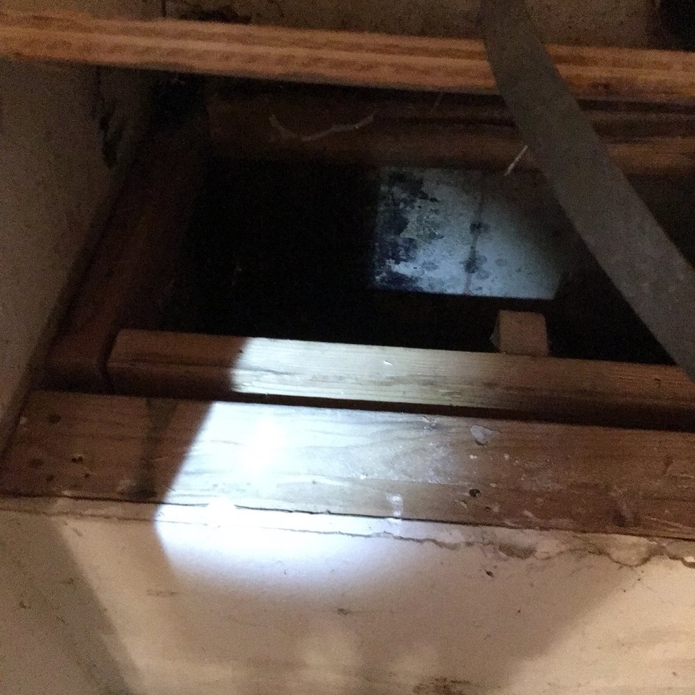 A2Z Restoration - Black mold - Damage Restoration Near Me - Martinez, California
