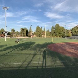 Lion's Field - Field area 3