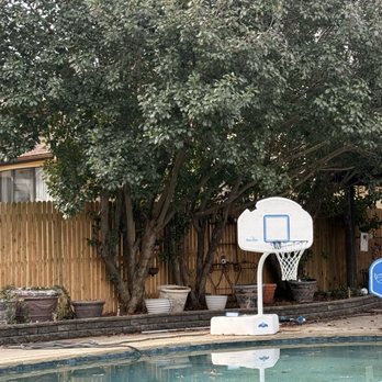 Cruz Tree Services - Tree Services Near Me - Dallas, Texas Cruz Tree Services - Tree Services Near Me - Dallas, Texas