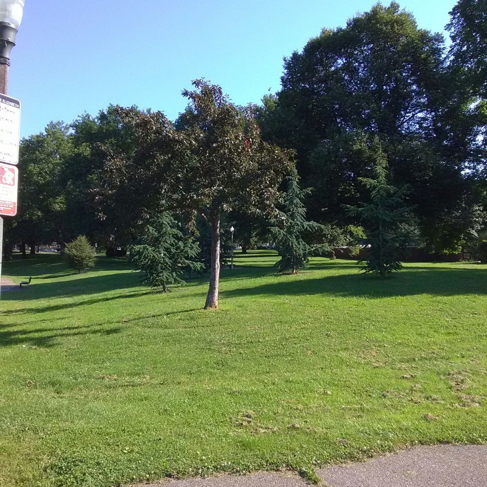 Allegheny Commons Park - Parks Near Me - Pittsburgh, Pennsylvania