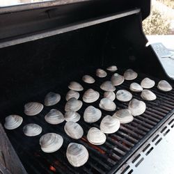 Blacky's Clam Stand
