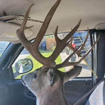 JR's Taxidermy - Taxidermy Near Me - Keller, Texas