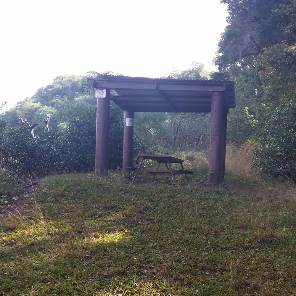 Waimano Loop Trail - At mile 2 is the only shelter. - Hiking Near Me - Pearl City, Hawaii Waimano Loop Trail - At mile 2 is the only shelter. - Hiking Near Me - Pearl City, Hawaii