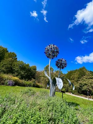 Cornell Botanic Gardens by null