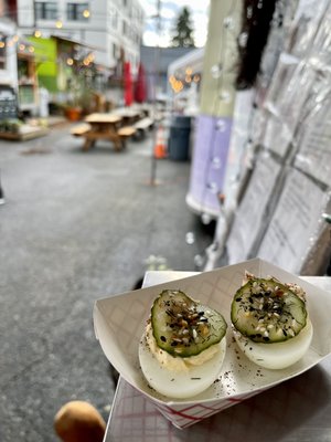 Night Owl PNW by null