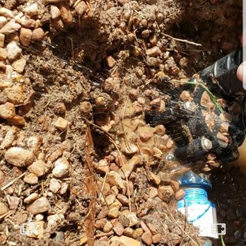 Sun City Landscaping - Valve with PVC pipe totally sideways and loose - Landscaping Near Me - Henderson, Nevada Sun City Landscaping - Valve with PVC pipe totally sideways and loose - Landscaping Near Me - Henderson, Nevada