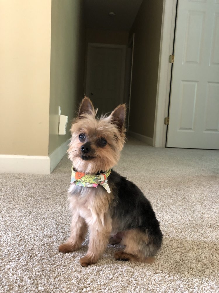 THE DOG HOUSE Updated September 2024 8022 Grand River Rd, Brighton