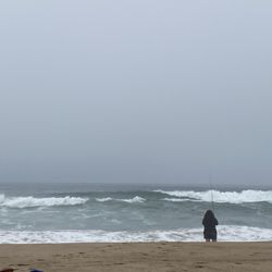 Rancho Guadalupe Dunes - Angler by the beach