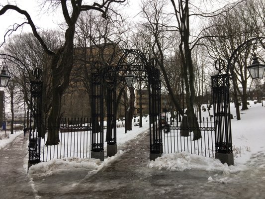 Loyalist Burial Ground by null