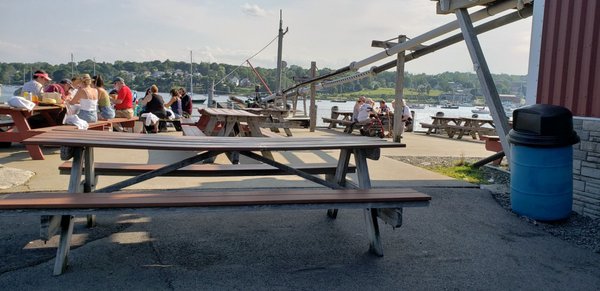 Young's Lobster Pound by null