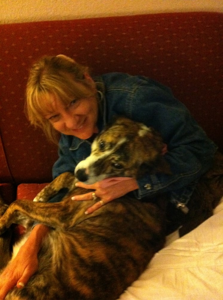 KELLY’S PET SITTING Updated October 2024 13 Reviews 3042