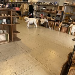 Atomic Garden - Dog friendly