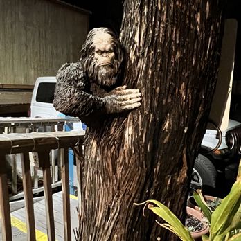 The Spot - a statue of a man hugging a tree - New American Near Me - Carolina Beach, North Carolina The Spot - a statue of a man hugging a tree - New American Near Me - Carolina Beach, North Carolina