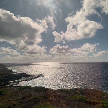 Hawaii Turtle Tours - Tours Near Me - Honolulu, Hawaii Hawaii Turtle Tours - Tours Near Me - Honolulu, Hawaii