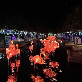 Tianyu Lights Festival - Festivals Near Me - Phoenix, Arizona Tianyu Lights Festival - Festivals Near Me - Phoenix, Arizona