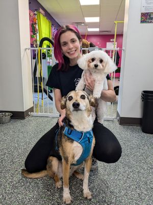 Doggy Style Salon by null