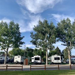 Southside Rv Park - Nice spacing and beautiful healthy trees.