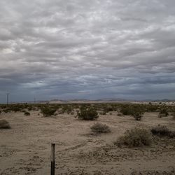 Mojave Desert - Looking east towards the Mojave Preserve