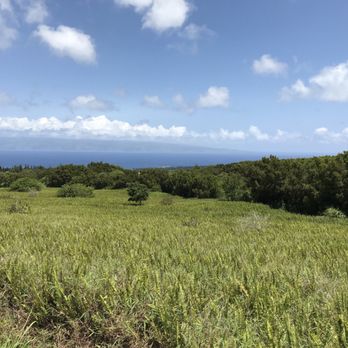 Ironwood Ranch - Horseback Riding Near Me - Lahaina, Hawaii