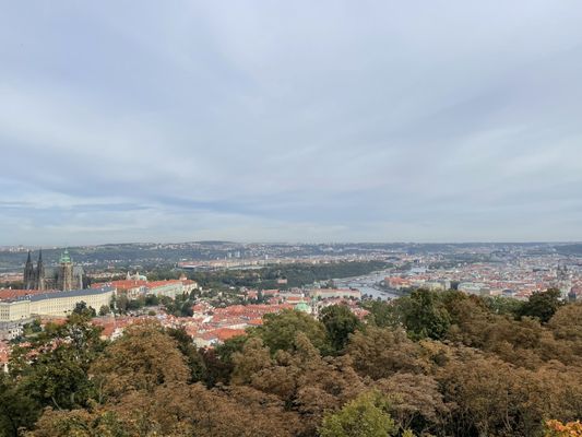 Petřín Gardens by null