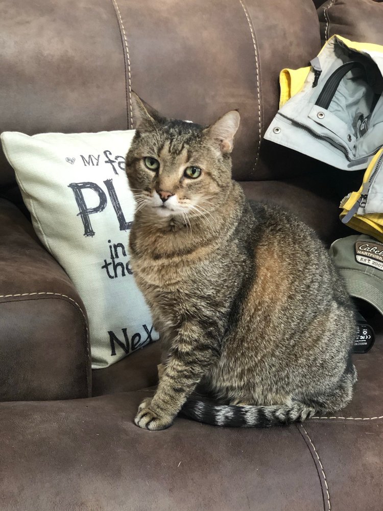 ISLAND ANIMAL HOSPITAL 17 Photos & 12 Reviews 333 Minutemen Cswy