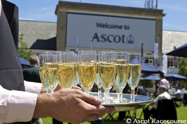 Ascot Racecourse by null