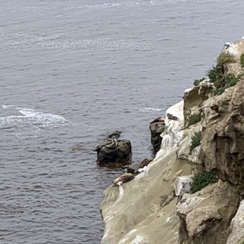 La Jolla Cove - Parks Near Me - La Jolla, California La Jolla Cove - Parks Near Me - La Jolla, California