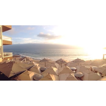 Driftwood Kitchen - Seafood Near Me - Laguna Beach, California