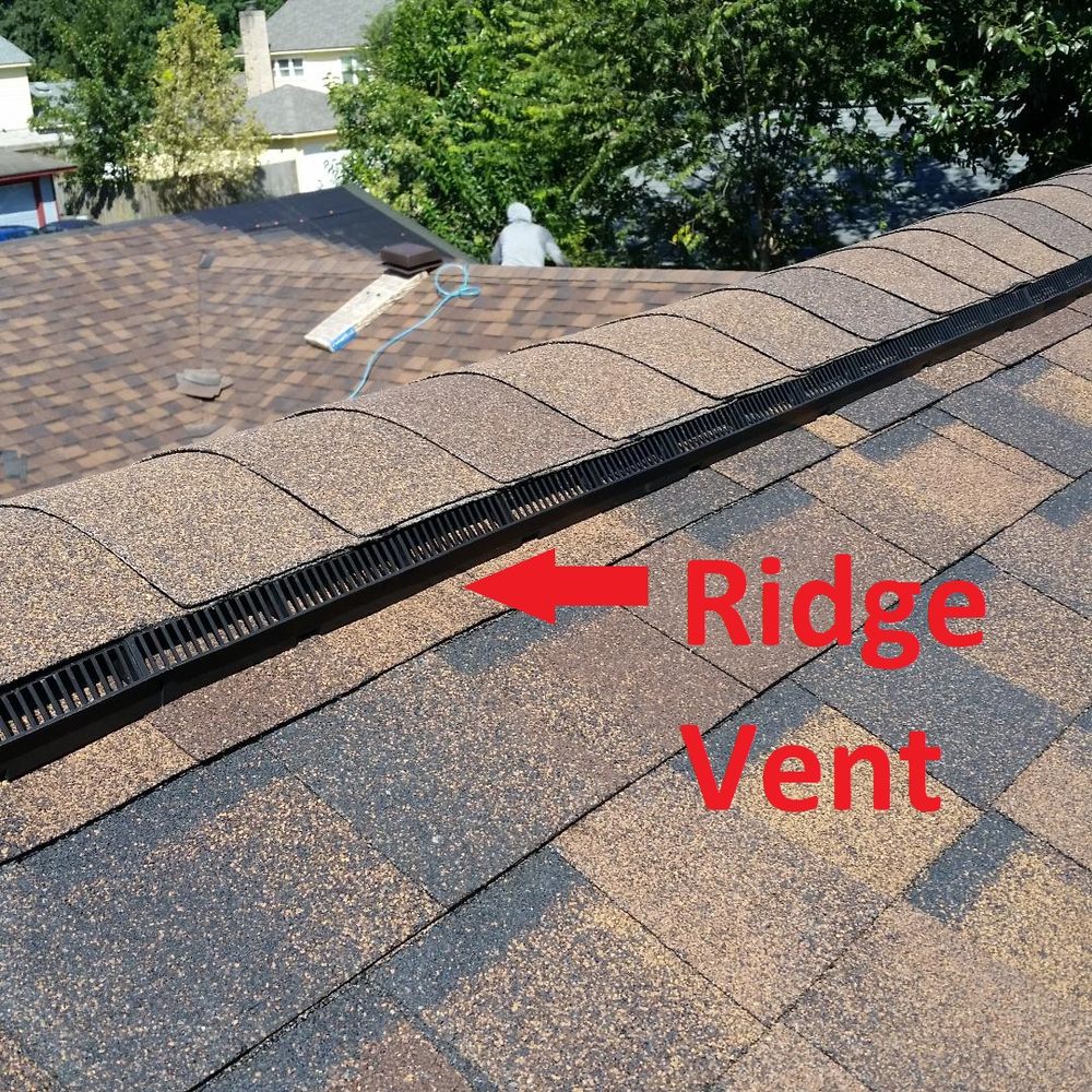 Slide of Doozy Roofs