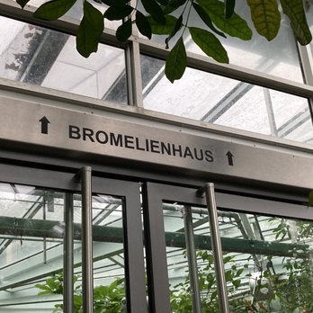 Palmengarten - Botanical Gardens Near Me - Frankfurt, HE