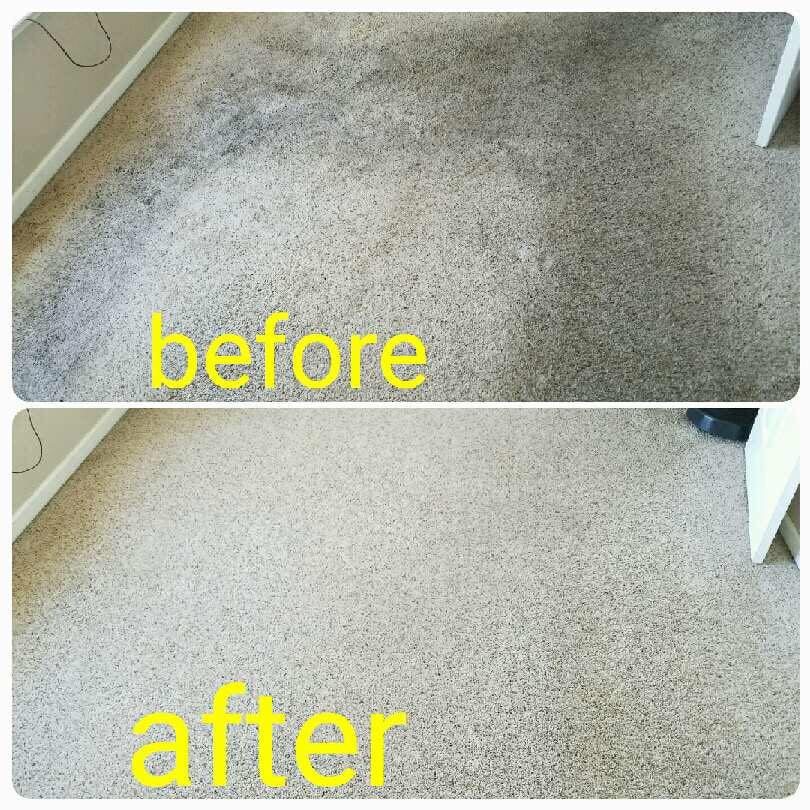 OakdaleCarpetCleaning Yelp