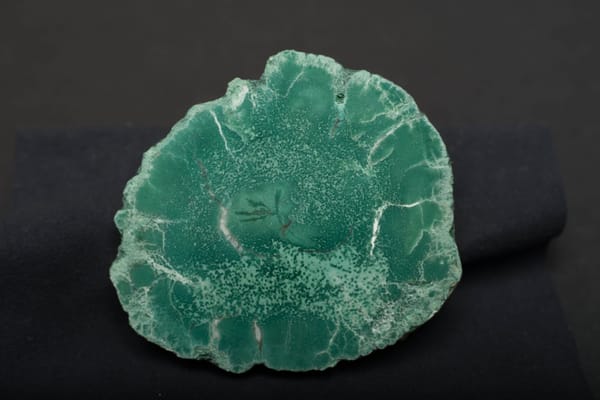 World Museum of Natural History by null