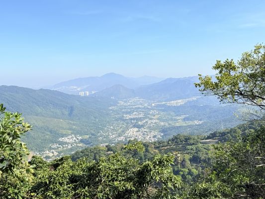 Kadoorie Farm and Botanic Garden by null