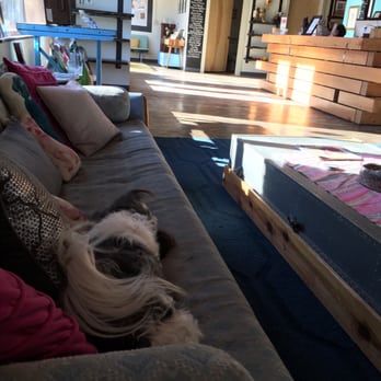 PAZ Veterinary - The pet lounge. - Veterinarians Near Me - Austin, Texas PAZ Veterinary - The pet lounge. - Veterinarians Near Me - Austin, Texas