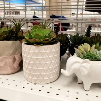 Ross - Great faux succulents. I've bought several for my house and gifts. - Department Stores Near Me - Clackamas, Oregon