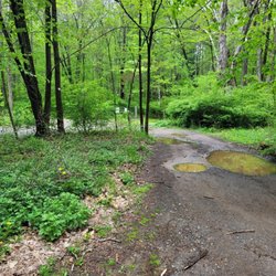 Onion Mountain Park