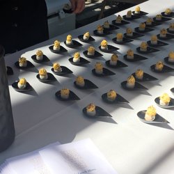 Taste of Napa