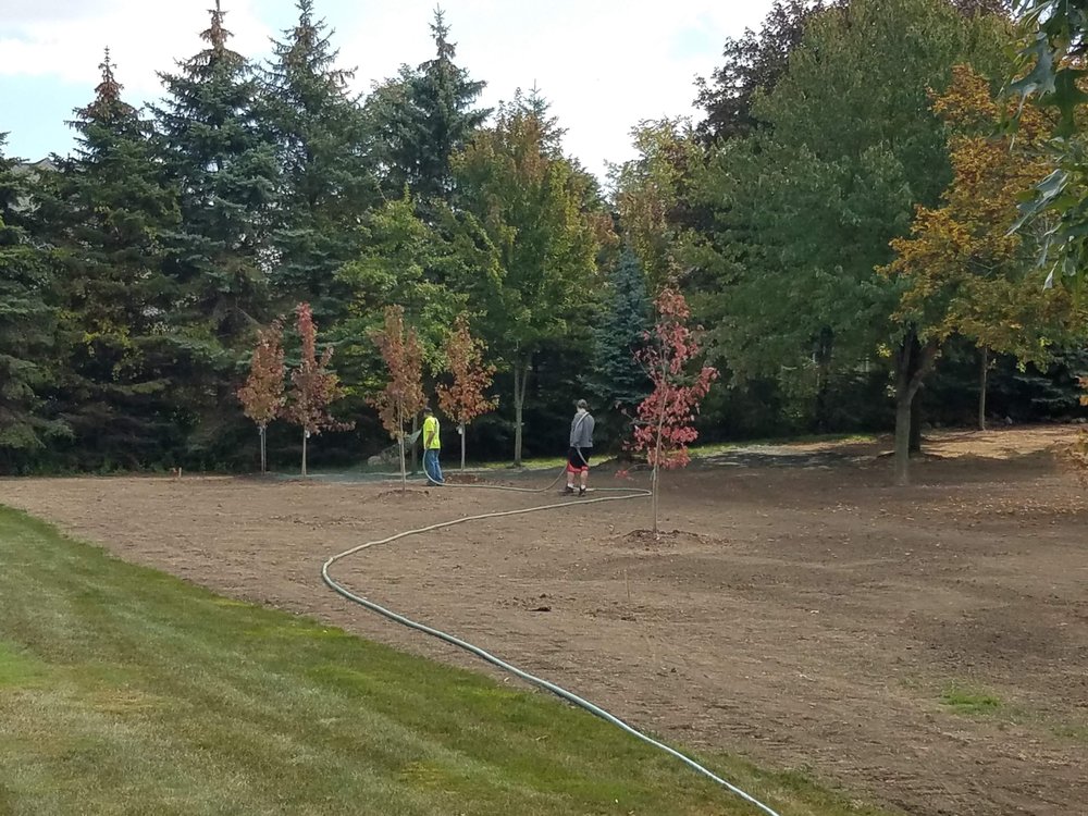 Slide of Selective Soils And Services