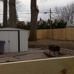 Serrano Tree Service - Newly trimmed oak.